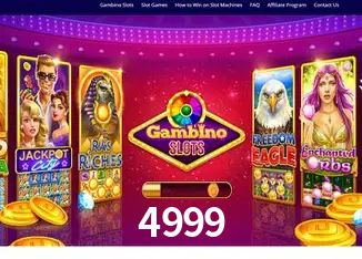 4999 Rio de Janeiro - Bonus Terms